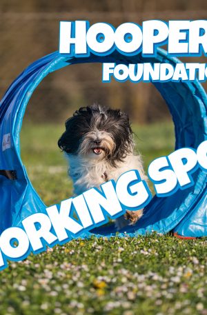 HOOPERS Foundation - Working spot