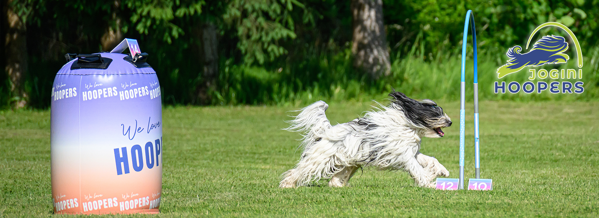 NEW HOOPERS FOUNDATION ON-LINE CLASS